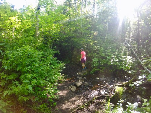 DCIM100GOPROGOPR0441.