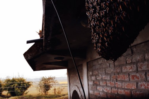 Processed with VSCO with m5 preset